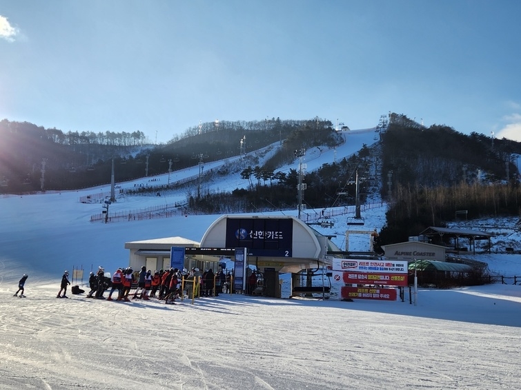 알펜시아 리조트 스키장