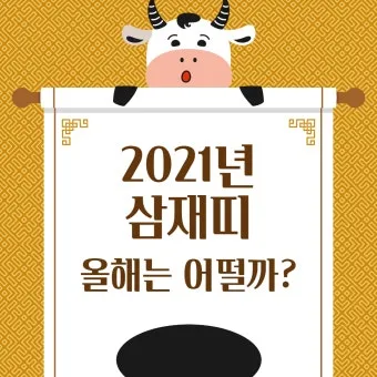 2025년 삼제띠 들삼재 눌삼재 날삼재에 대한 정보_22