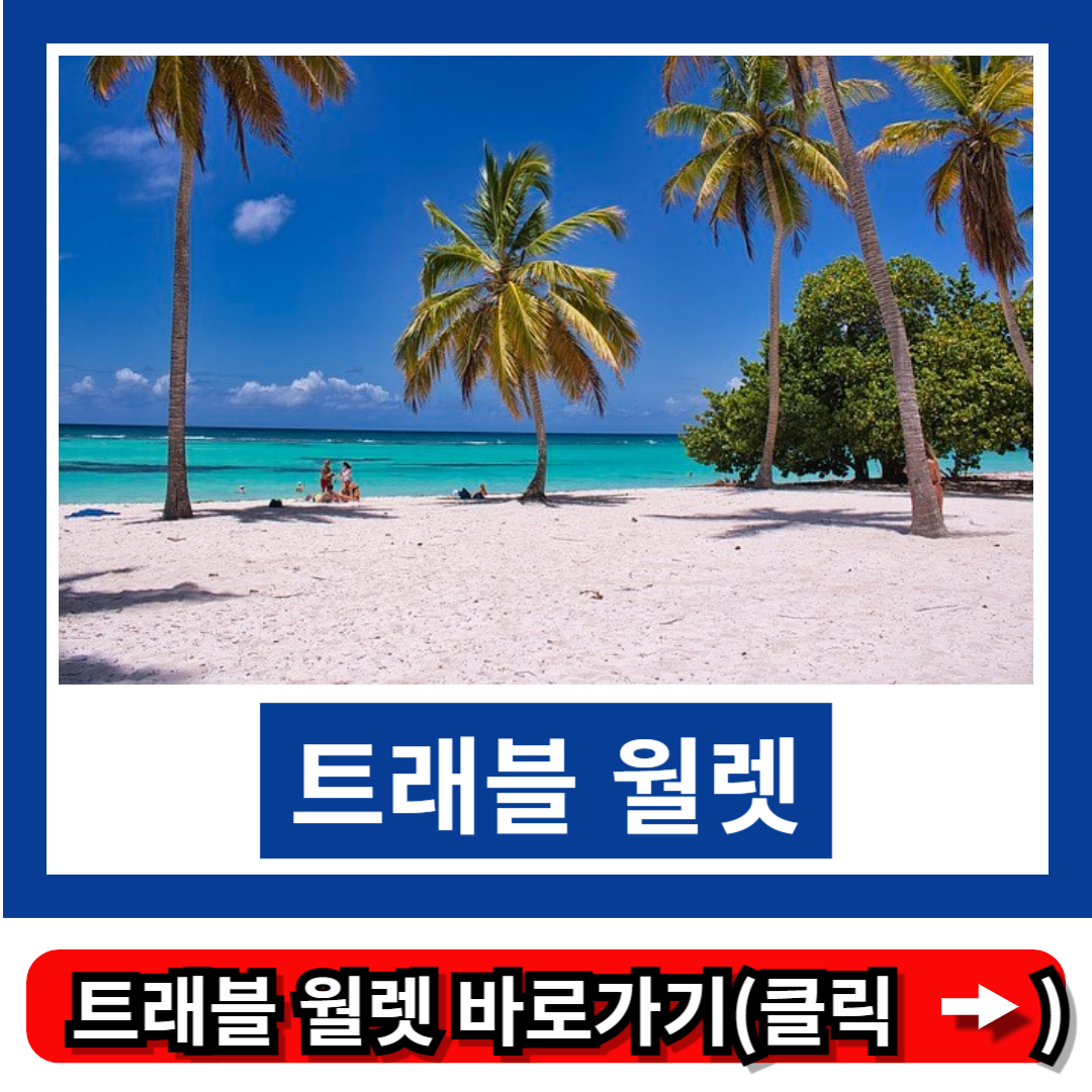 트래블 월렛