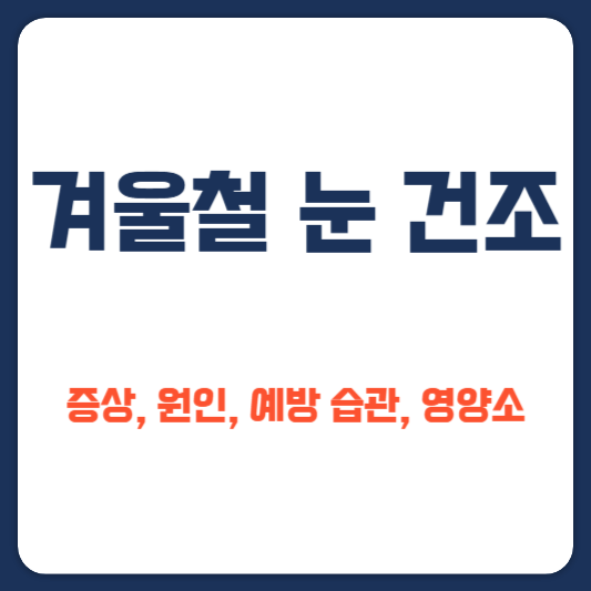 겨울철 눈 건조