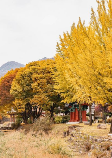 충북-제천-가볼만한 곳-배론성지-청풍호반케이블카