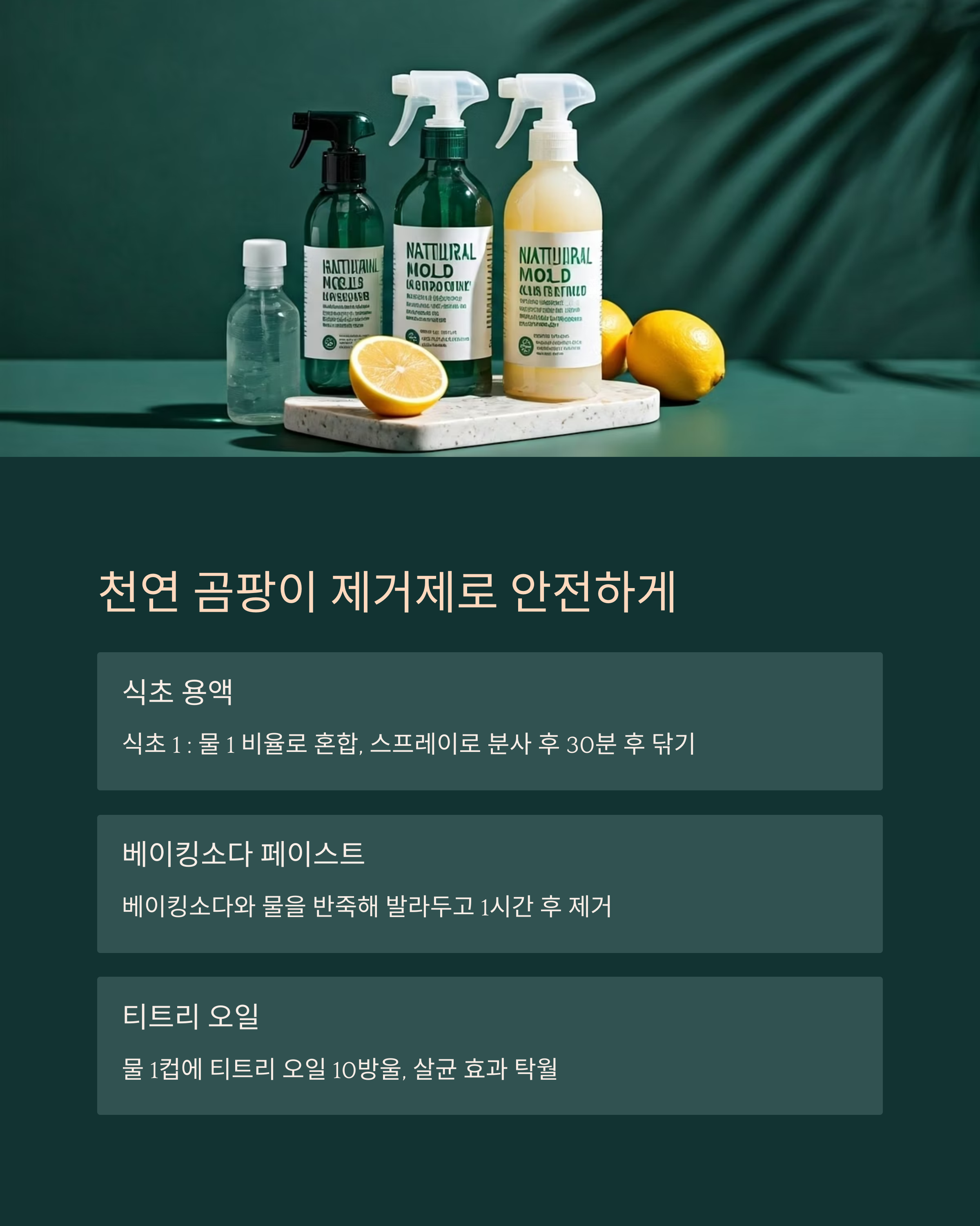 욕심 곰팡이 제거제로 완전제거