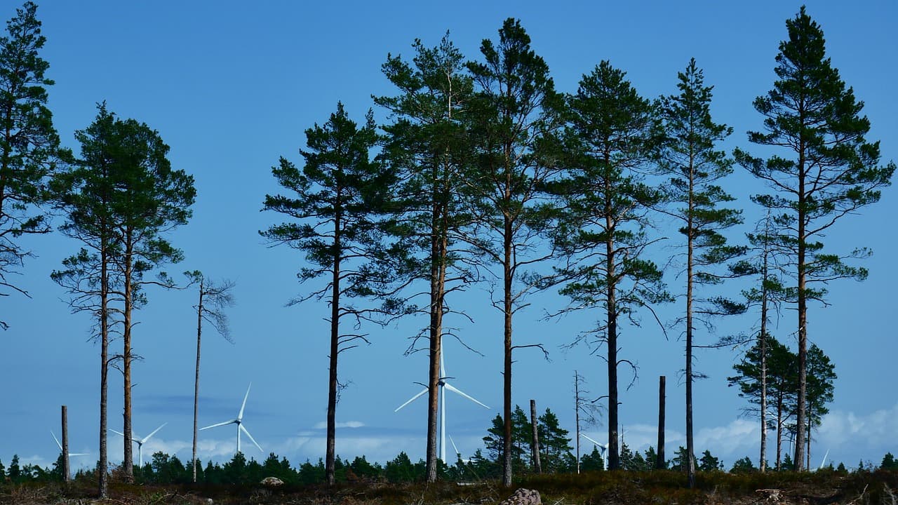 탄소를 저장하는 친환경 토양 개선 기술 바이오차(Biochar)란?