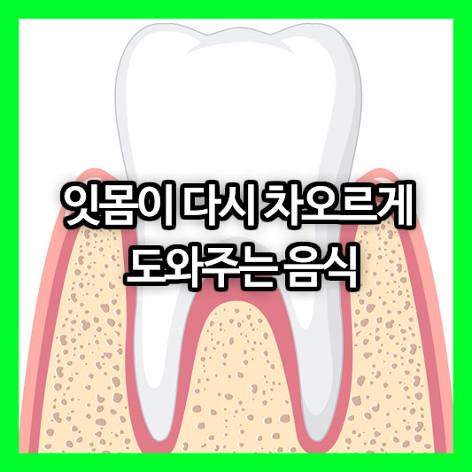 잇몸이 다시 차오르게 도와주는 음식, 자연에서 찾는 건강 비법