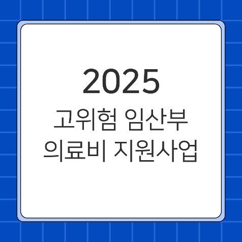 고위험 임산부라면 꼭 알아야 할 정부 지원제도, 이렇게 받으세요! - 의료비 지원사업