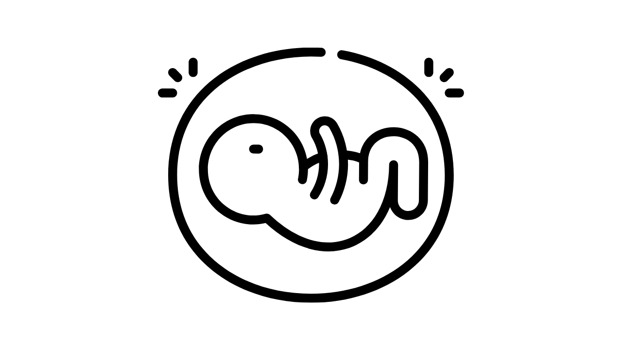 태동 이미지
