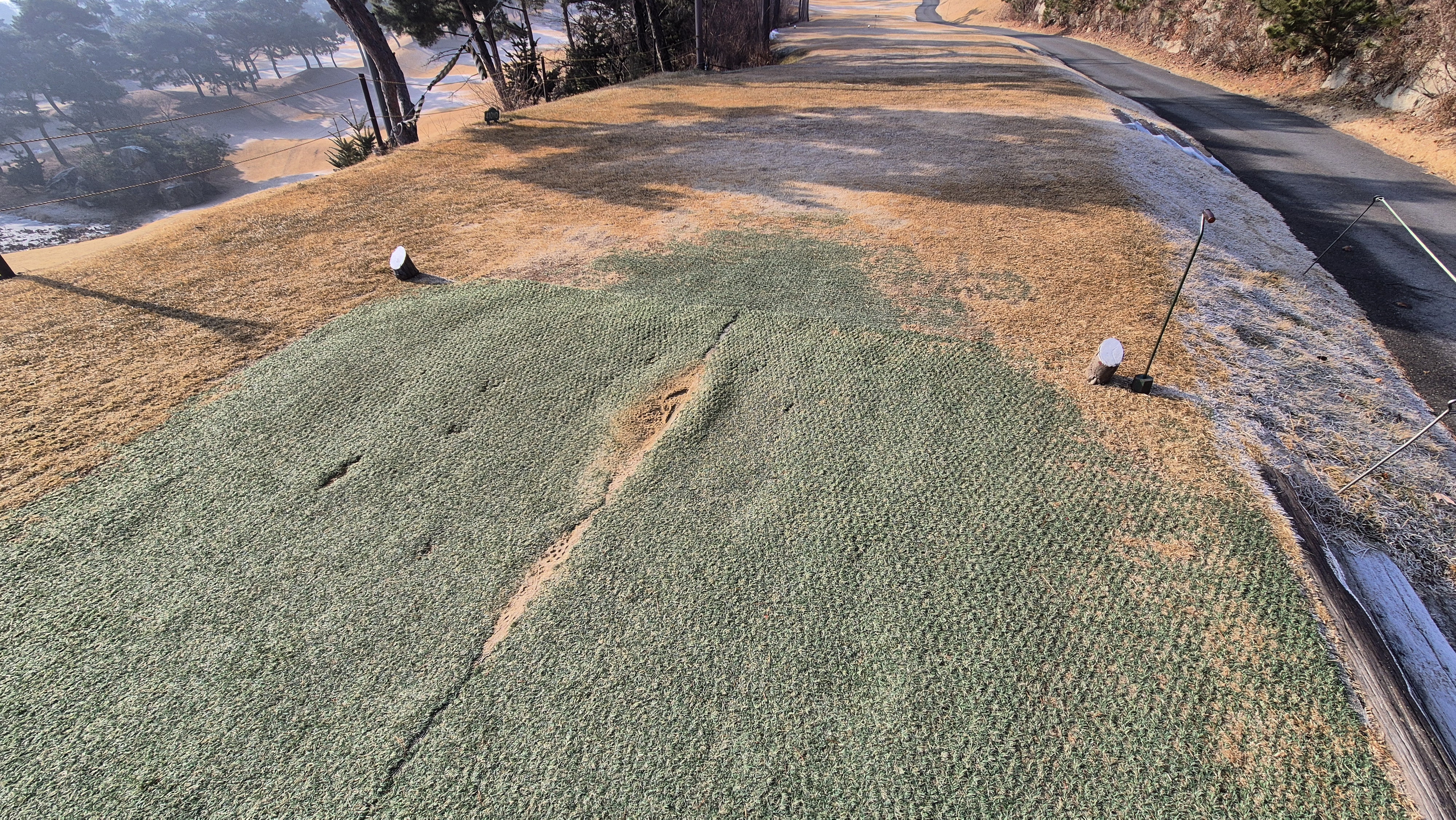 비에이비스타cc 호박-보나(퍼블릭) 코스 티잉구역상태