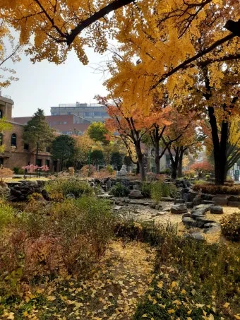 낙엽처럼 살아온 내 모습이 악보 완벽 연주 가이드_29