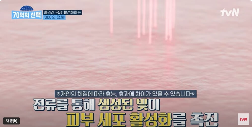 70억의 선택 콜라겐