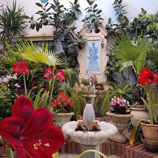 코르도바축제 21