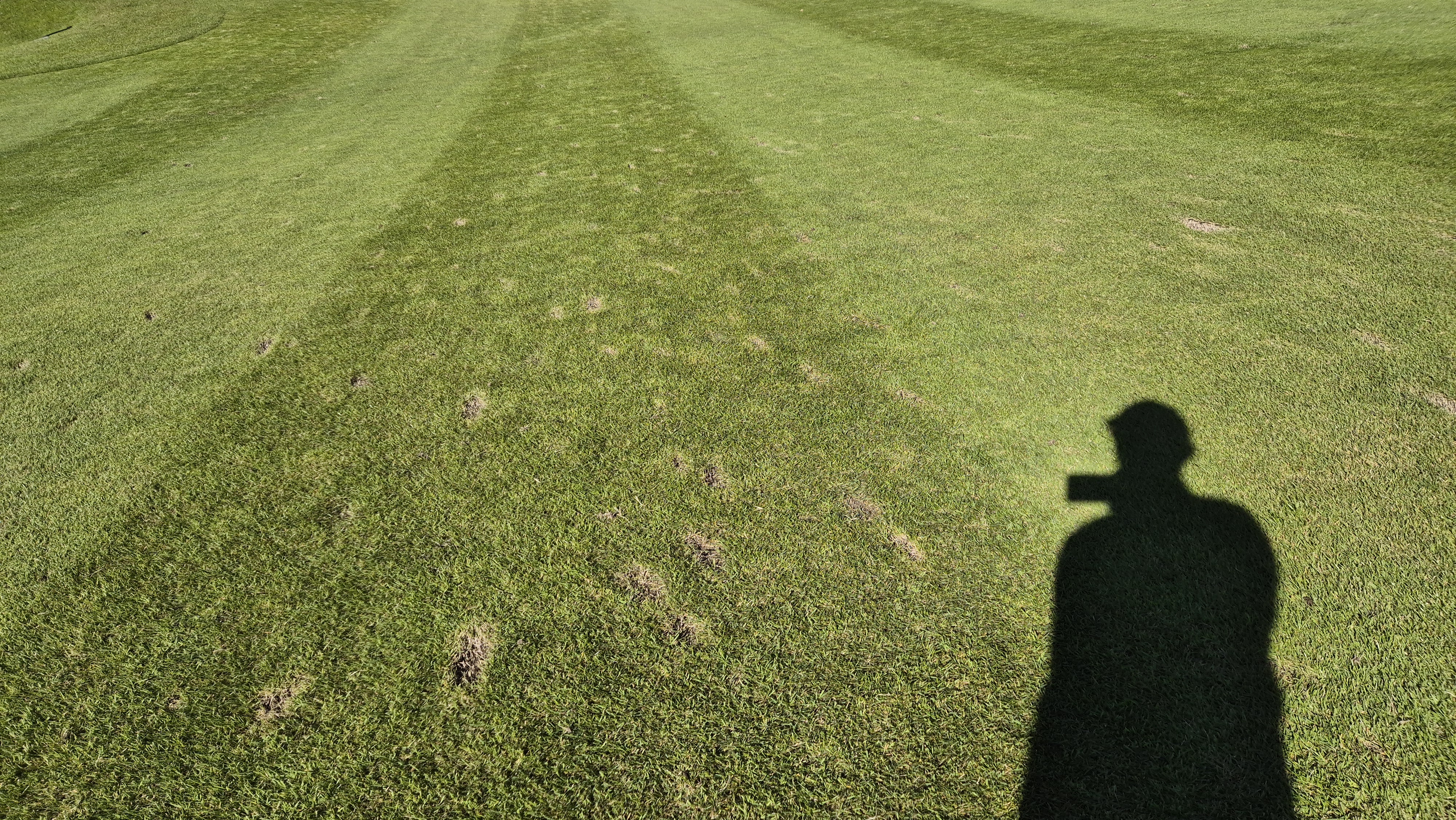 떼제베cc 동-북 코스 코스관리 상태