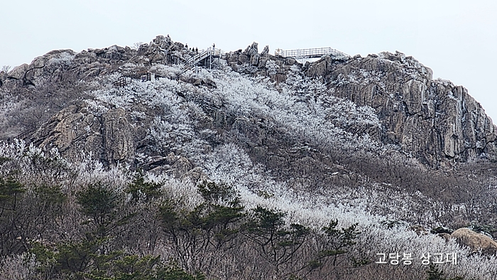 금정산 고당봉 상고데