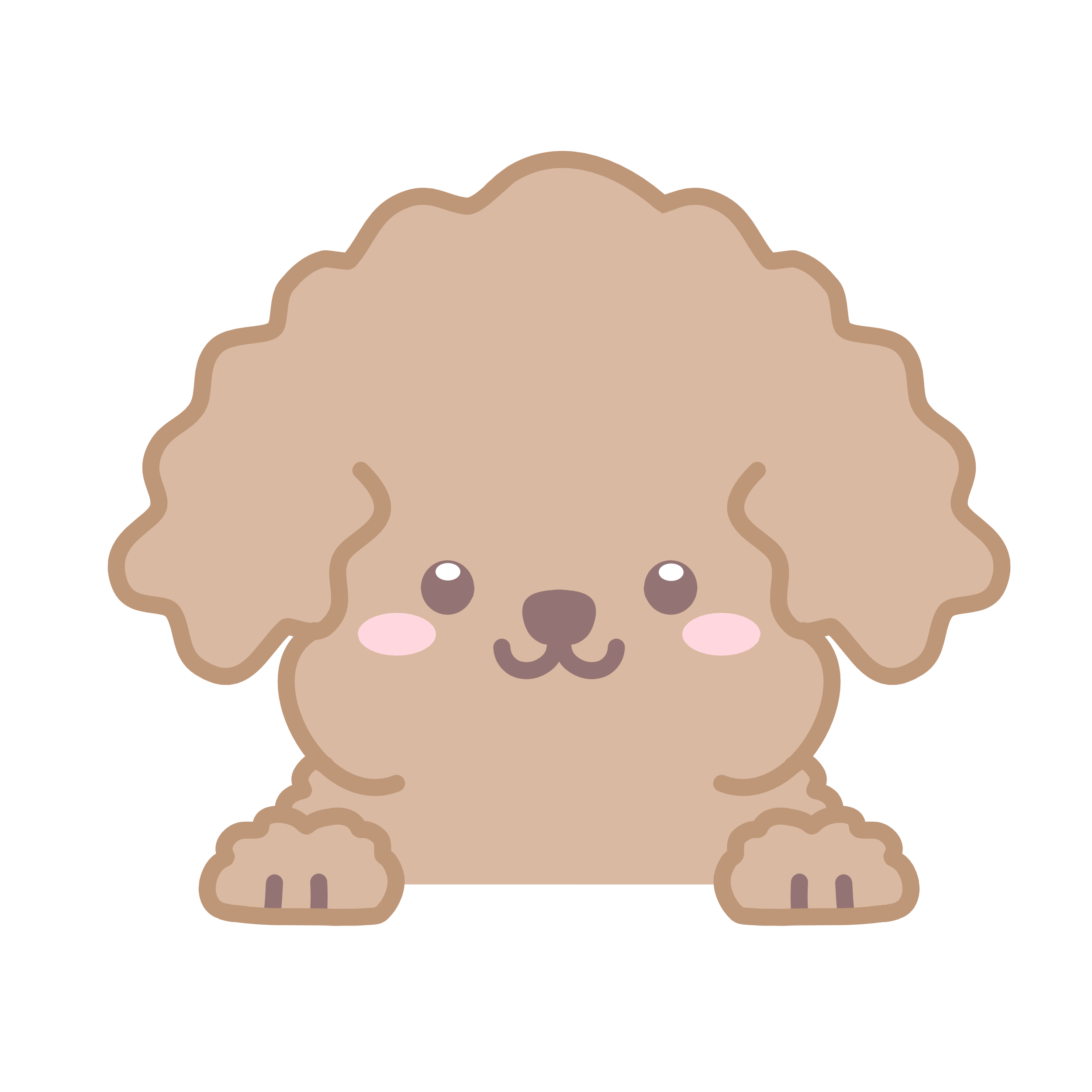 푸들강아지사료추천