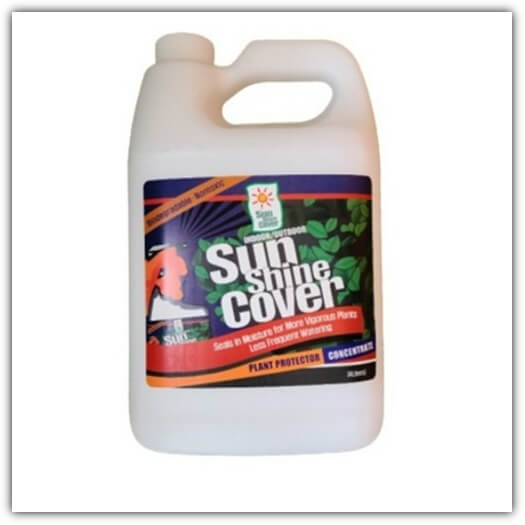 수분 증발 억제제