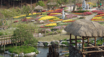 용인 농촌 테마파크 사진