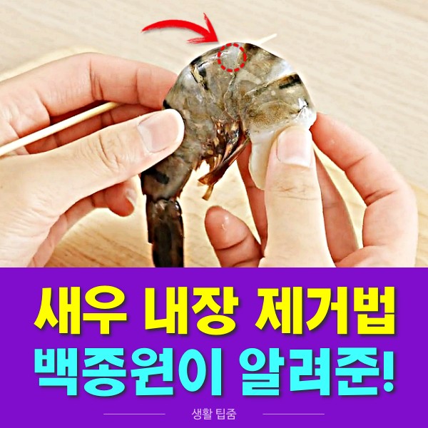 새우 내장 제거 방법, 백종원 새우 손질법, 새우 비린내 제거, 생활 팁줌 매일꿀정보