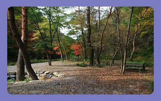 망경대산자연휴양림