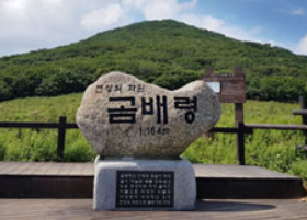 인제 곰배령 홈페이지 예약하기