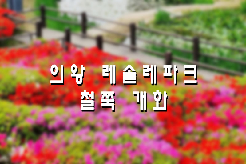 의왕 레솔레파크 철쭉