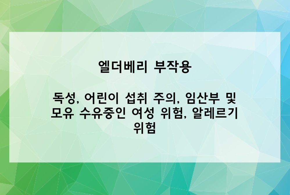 엘더베리 부작용