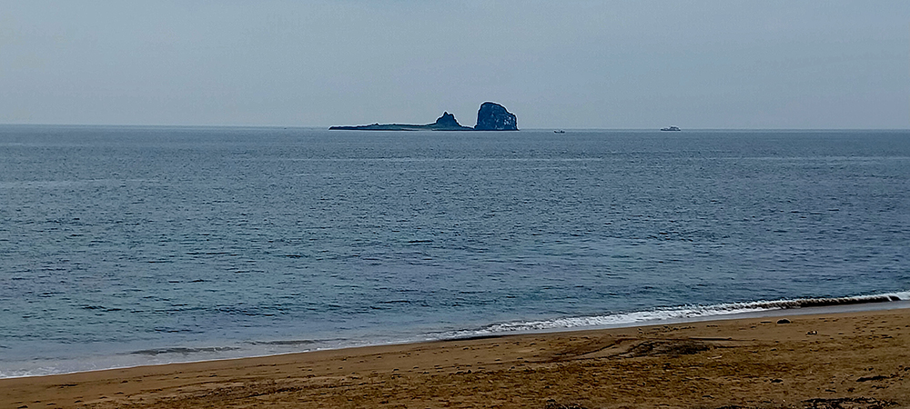 바라던 바다 사계해변