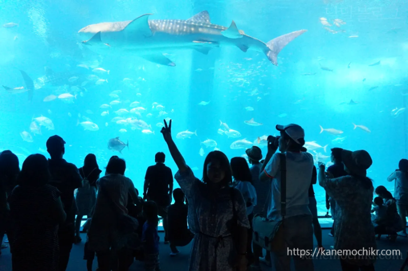 추라우미수족관