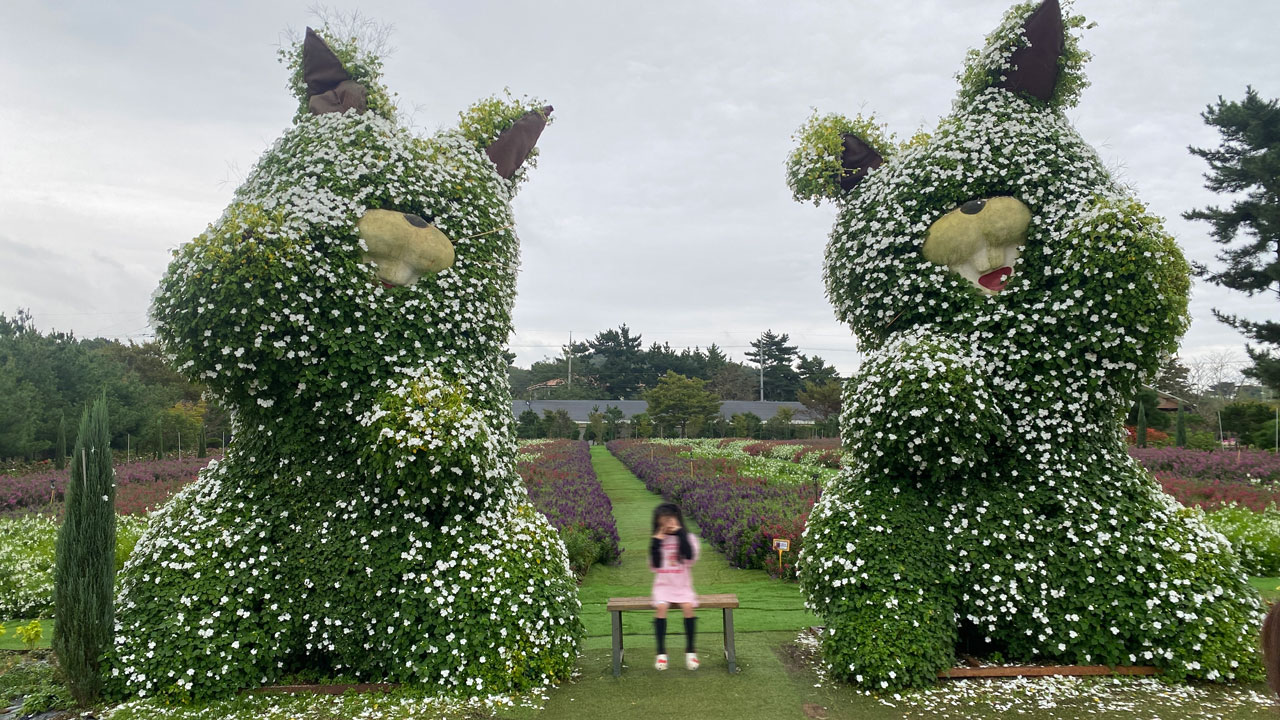 태안 가을꽃박람회에서 귀여운 조형물