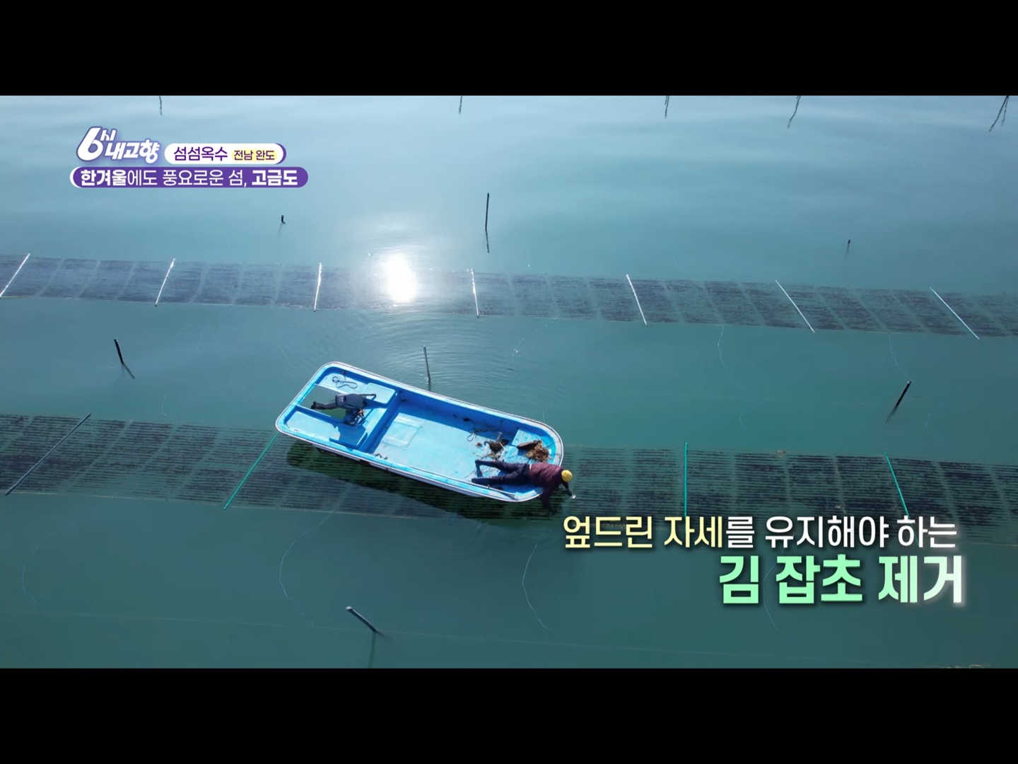 2024년 12월 5일 6시 내고향 전남 완도 유자, 김 양식, 굴 요리는 어디?