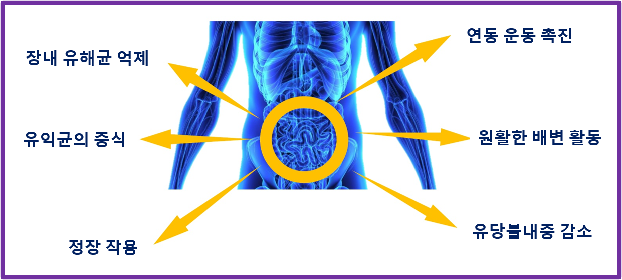 프로바이오틱스