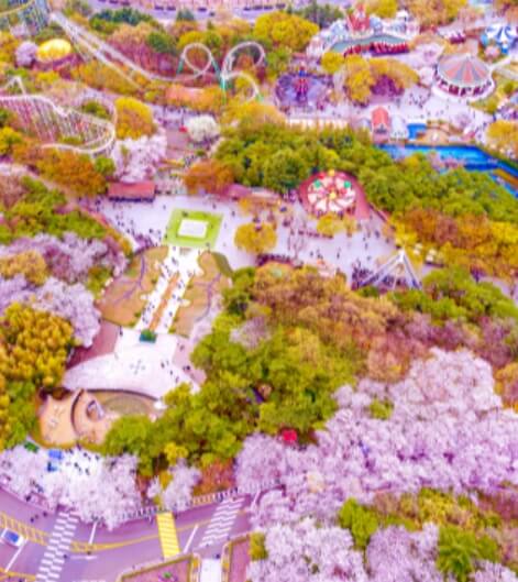 3월 국내 여행지 추천