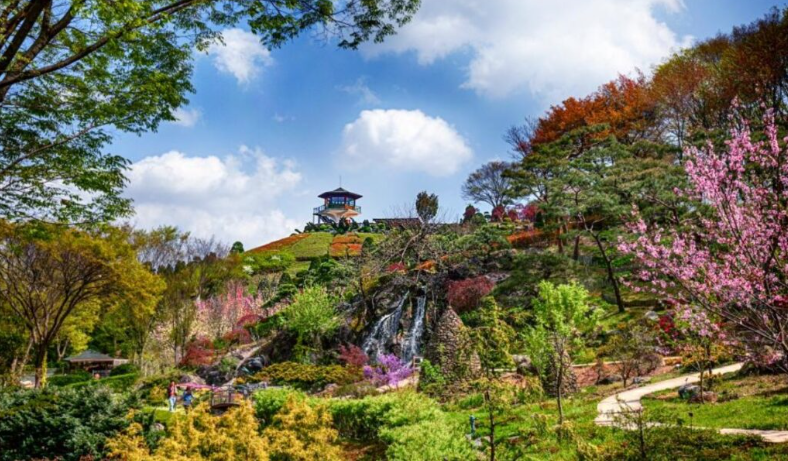 세종-베어트리파크