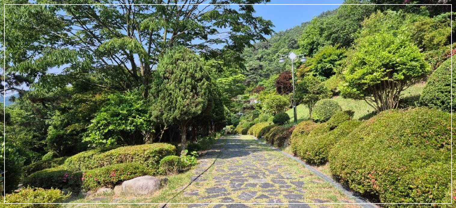 영광 가볼만한곳 베스트10 숲쟁이공원