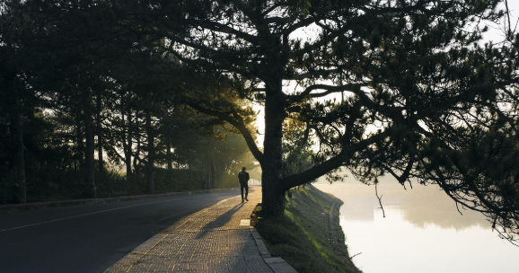 위대한 쇼맨 줄거리 실존인물 바넘 괴짜 서커스단
