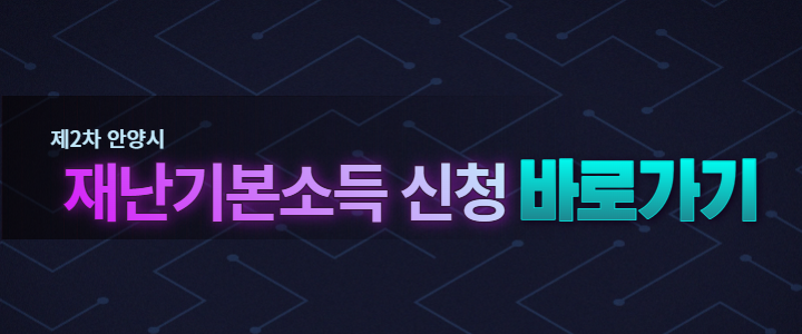 안양 재난기본소득