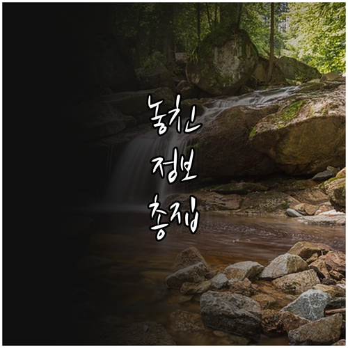 세종 아빠장려금 2025 지원 월 3..