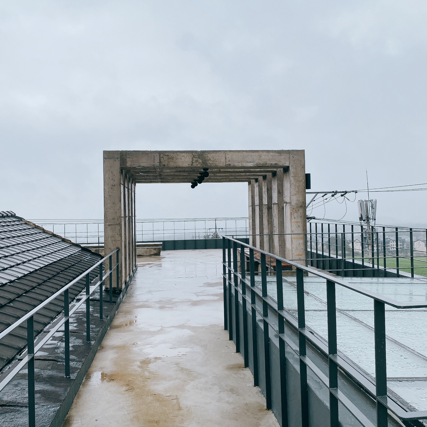 제주 신비마을 도깨비도로 벚꽃명소 레크레 카페