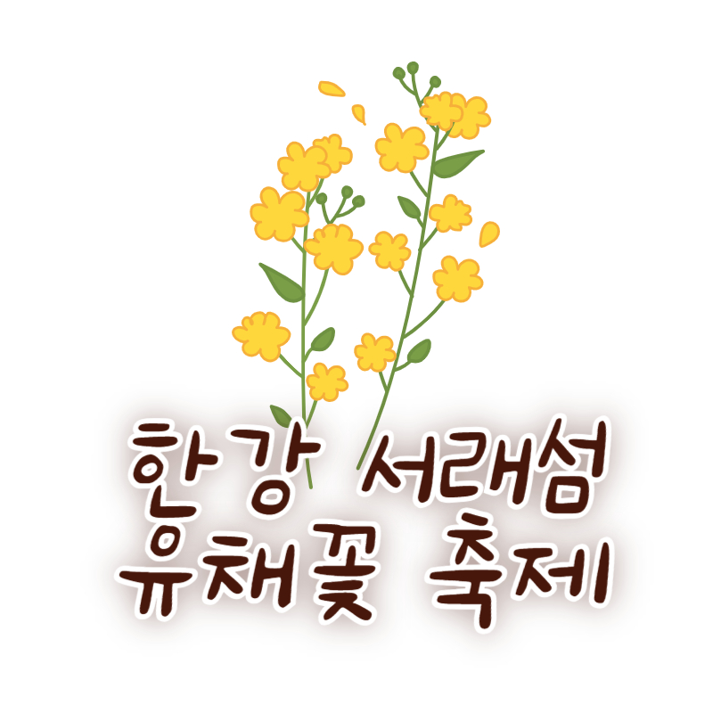 한강 서래섬 유채꽃 축제