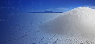 수산화리튬 관련주 대장주