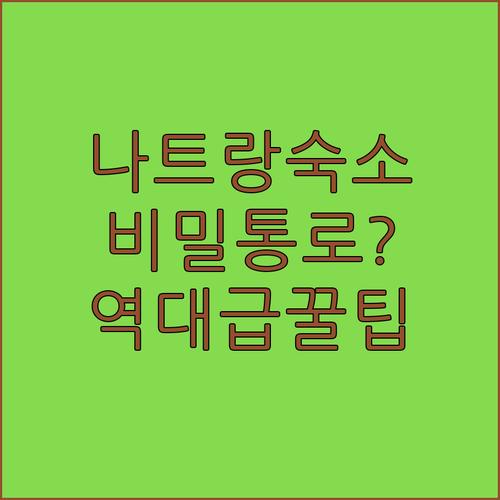 공항 10분 거리부터 전용 지하 터널..