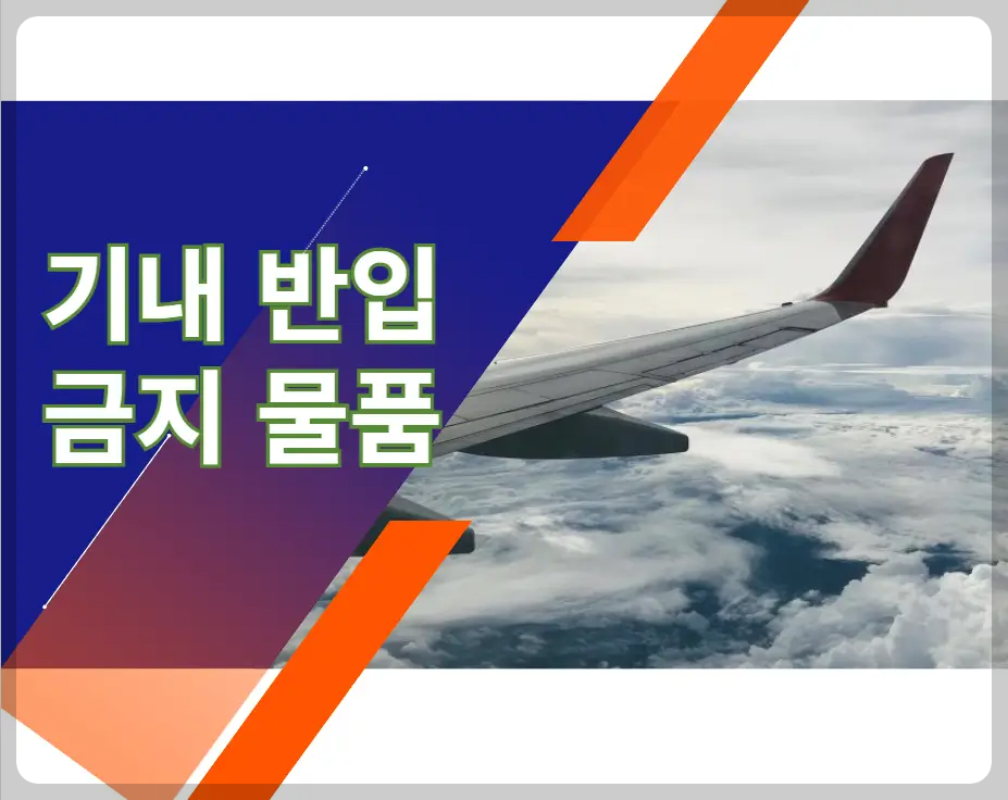 기내 반입 금지 물품