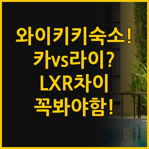 호기심 가득 와이키키 숙소 카 라이 ..