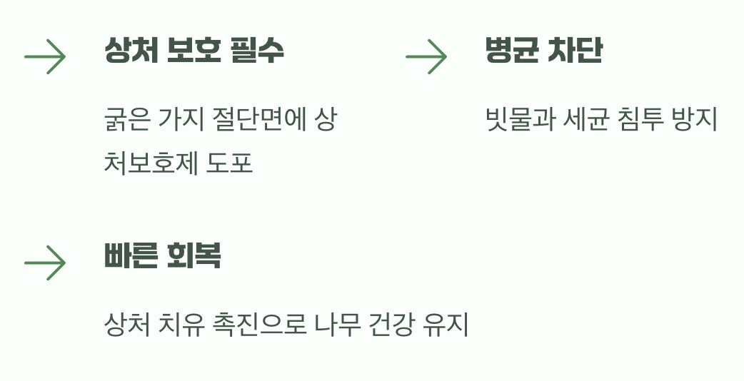 마지막 배려, 상처 부위 돌보기