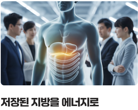 '굶는 것'이 아닌 '쉬는 것', 간헐적 단식의 핵심