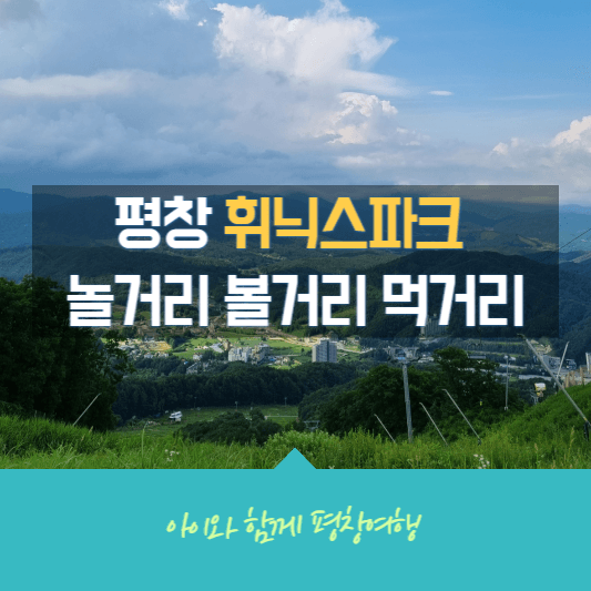 평창 휘닉스파크 놀거리볼거리먹거리 정보