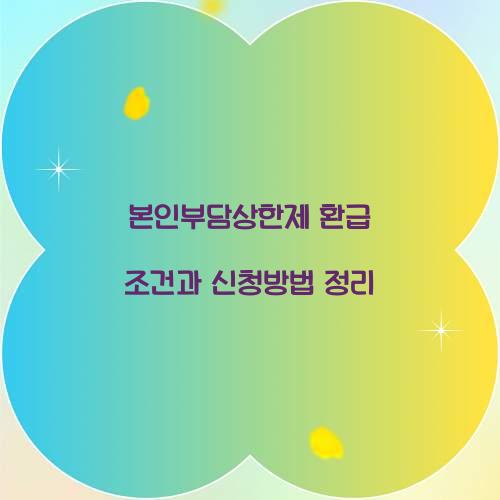 본인부담상한제 환급