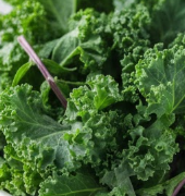 비문증 치료방법