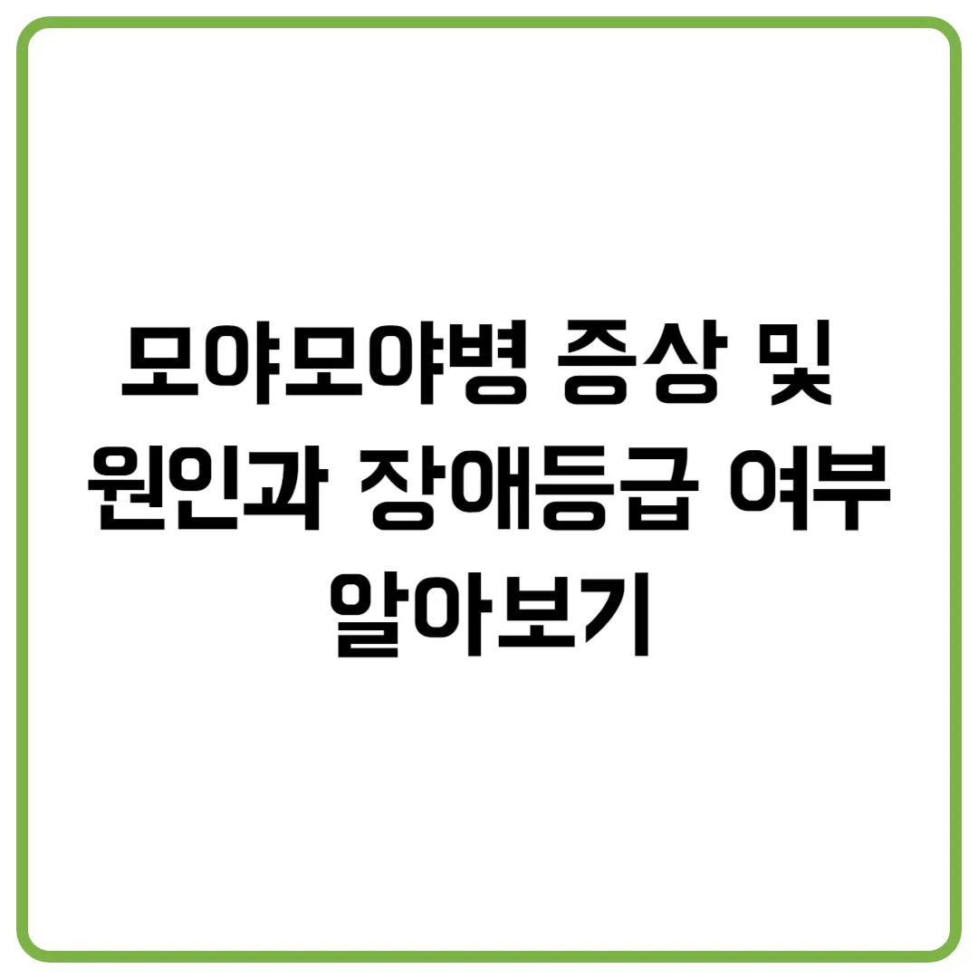 모야모야병 증상 및 원인과 장애등급 여부 알아보기