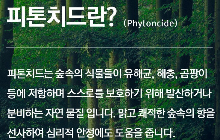 피톤치드