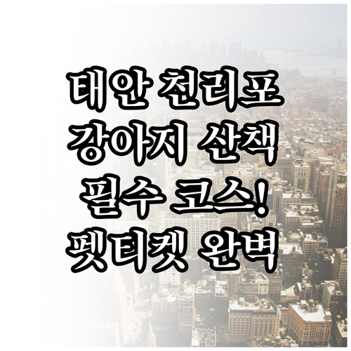 강아지랑 가기 좋은 서해안 태안 천리..