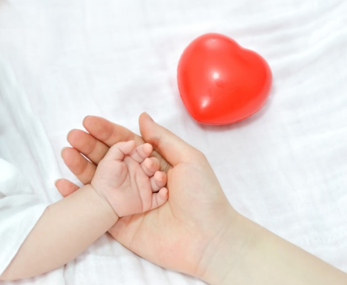 신생아건강보험